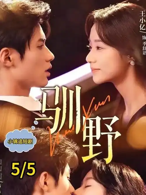 琥珀年代 电视剧全集在线观看